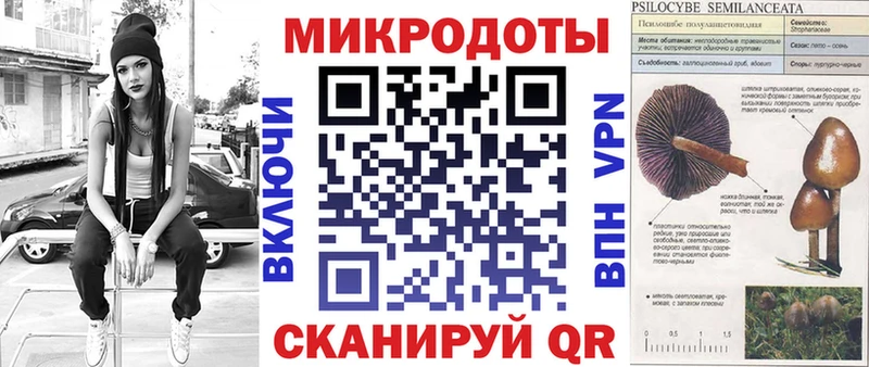 Галлюциногенные грибы Psilocybe Солнечногорск